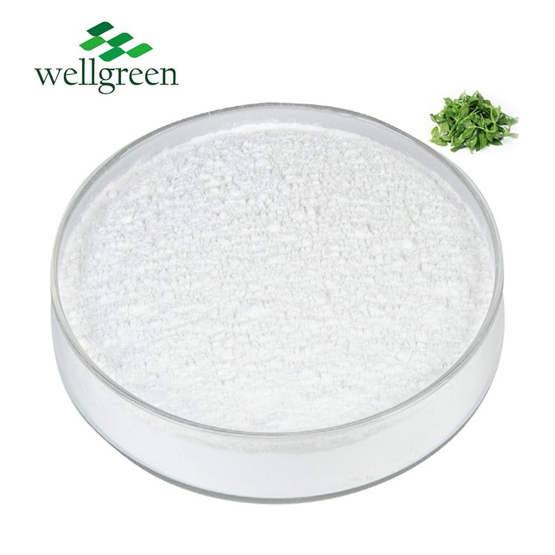 ISO Certified High Purity 98% Andrographolide Powder Natural Andrographis Paniculata Extract for Feed Additive