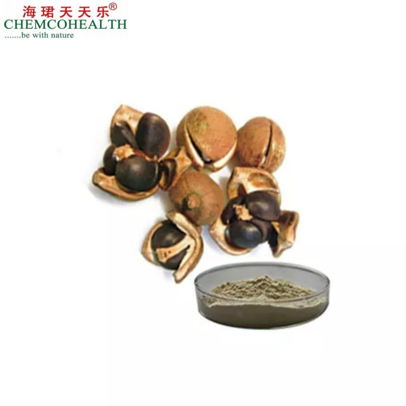 Natural Herbal Camellia Seed Extract High Content of Tea Saponin
