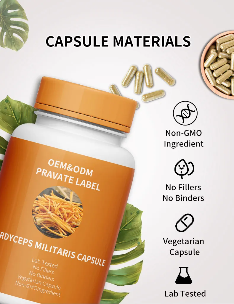 Cordyceps Extract Capsules 3