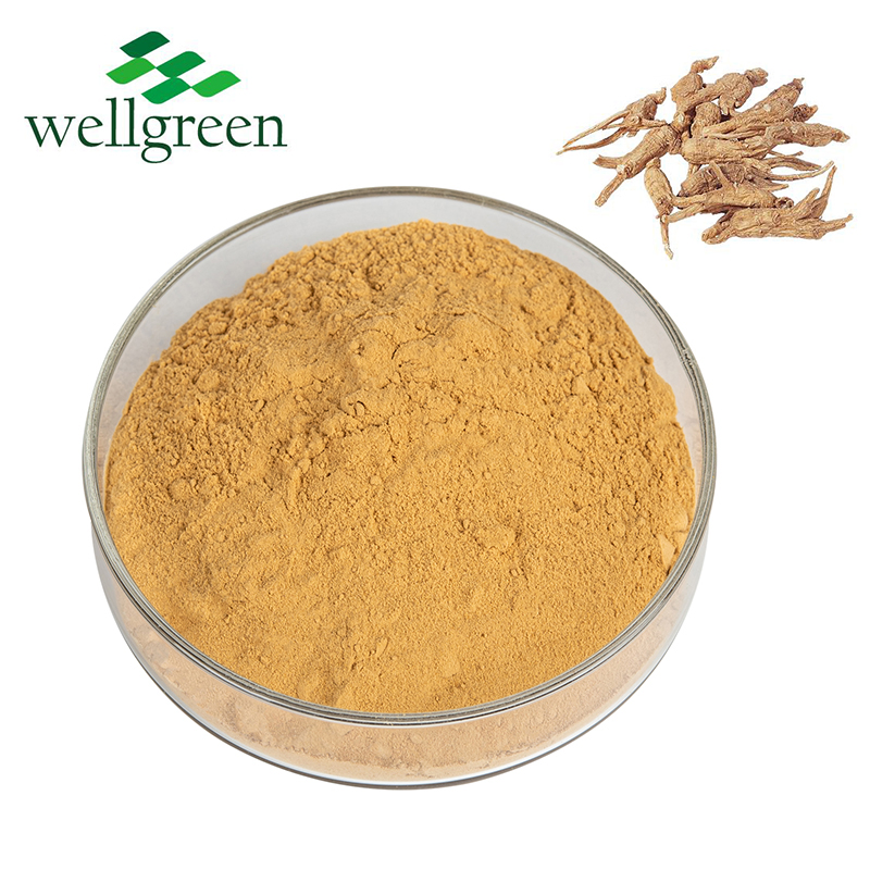Bulk Sale Angelica Root Extract Powder Natural Herbal Angelica Extract