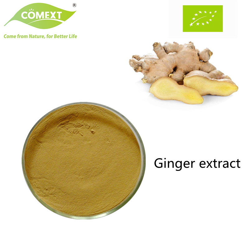 Comext Natural Dried Pure Water Soluble Best Quality Best Price Organic Ginger Root Extract Powder
