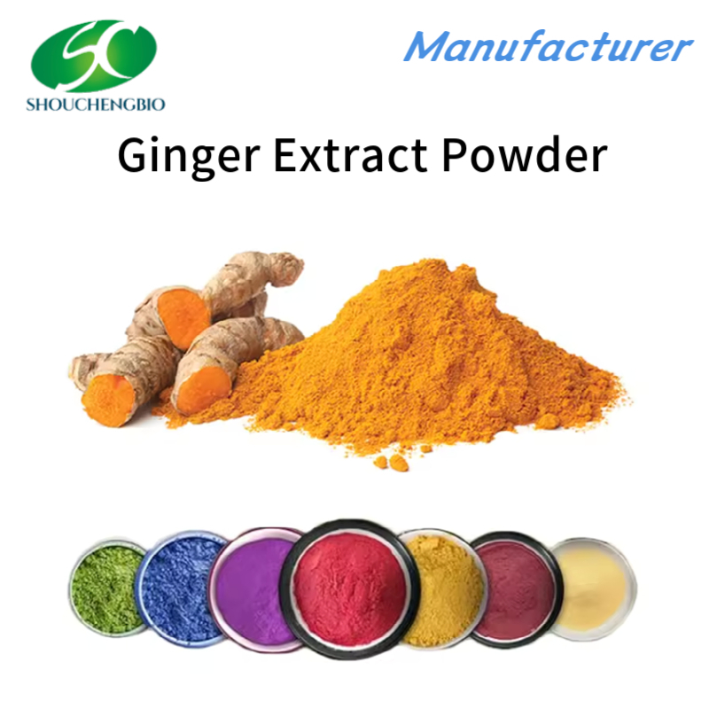 100% Pure Nature Oragnic Ginger Root Extract Powder Sw Flavor