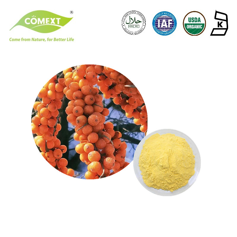 Comext Food Grade Sea Buckthorn Powder Plant Extract 40% Flavonoids