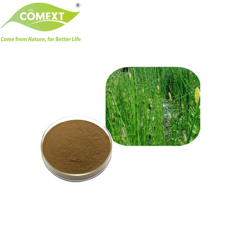 Comext Top China Factory Hot Selling Equisetum Arvense L. Herbal Horsetail Extract for Pharmaceutical