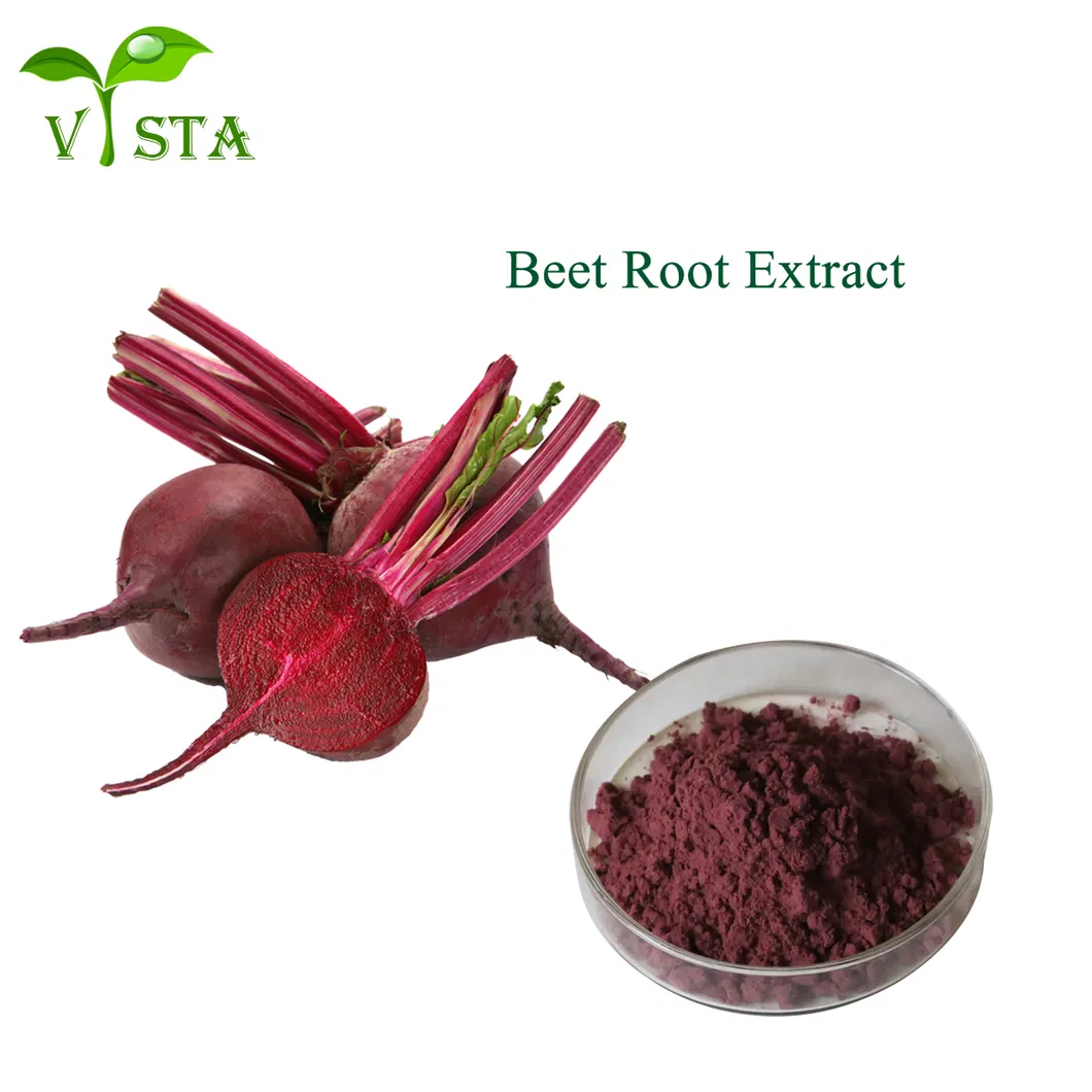 Beet Root Powder Detail