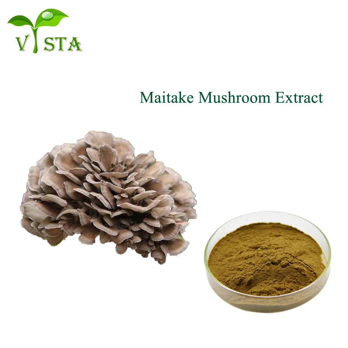 Wholesale Plant Extract Factory Supply High Quality Food Grade Grifola Frondosa Extract 10%~50% Polysaccharides Maitake Mushroom Extract