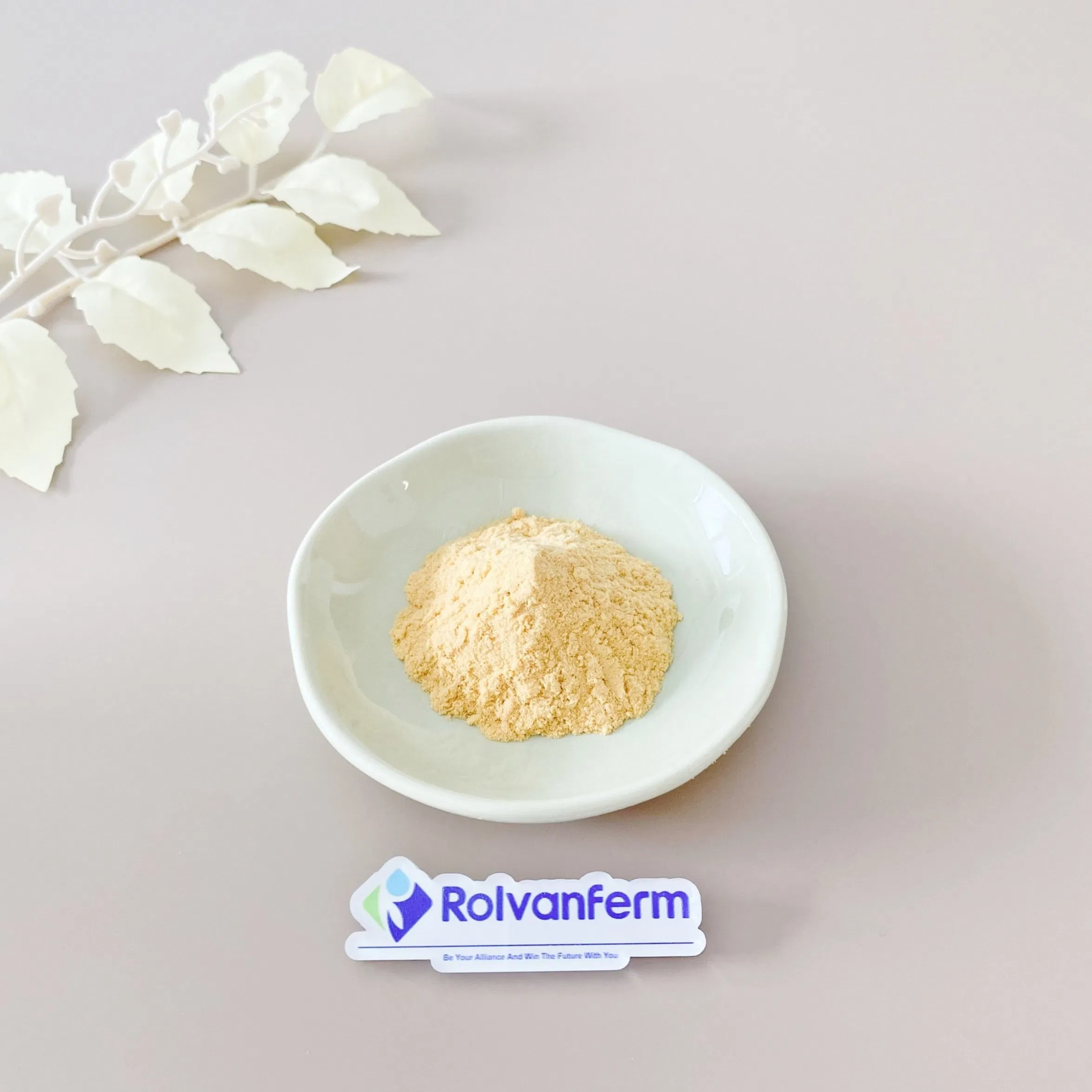 Standardized High Purity Fucoidan Extract From Undaria Pinnatifida or Fucus Vesiculosus for Consistent Bioactivity and Potency in Supplements Fucoidan