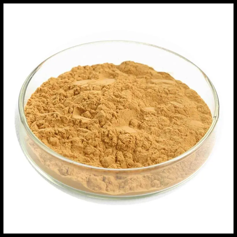 Mimosa Extract Powder 3