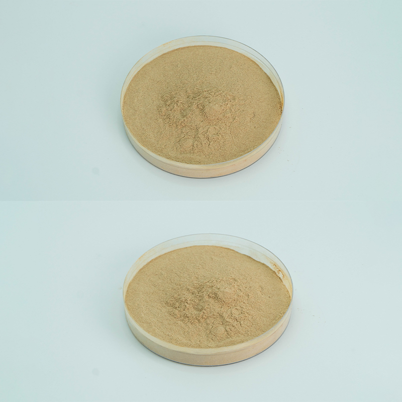 Factory Supply10% 40% 80% Notoginsenosides Panax Notoginseng Root Extract