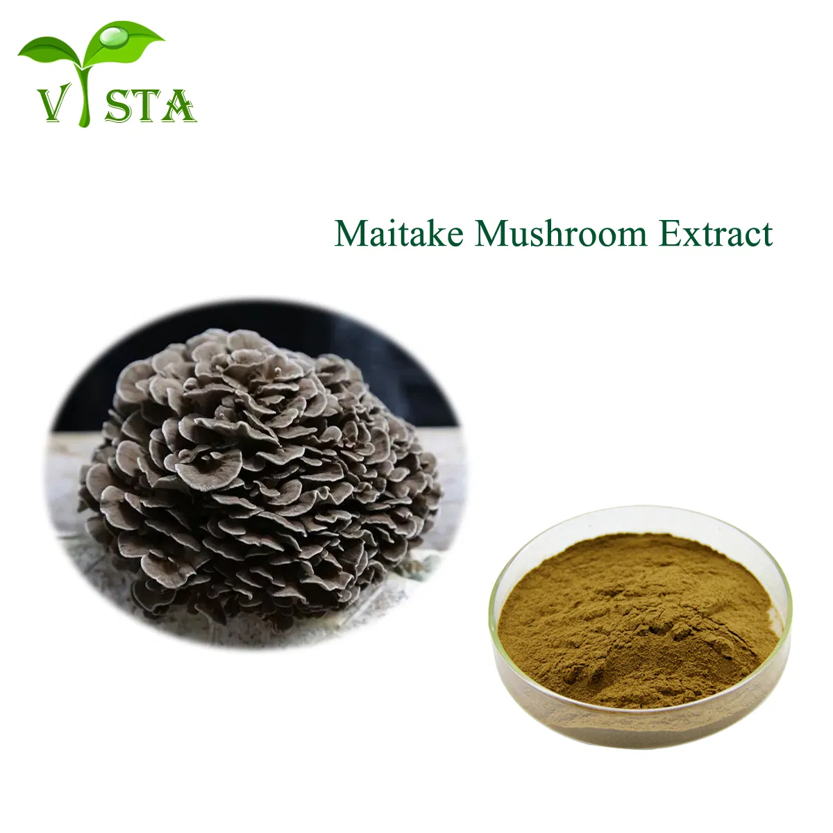 Wholesale Plant Extract Factory Supply High Quality Food Grade Grifola Frondosa Extract 10%~50% Polysaccharides Maitake Mushroom Extract