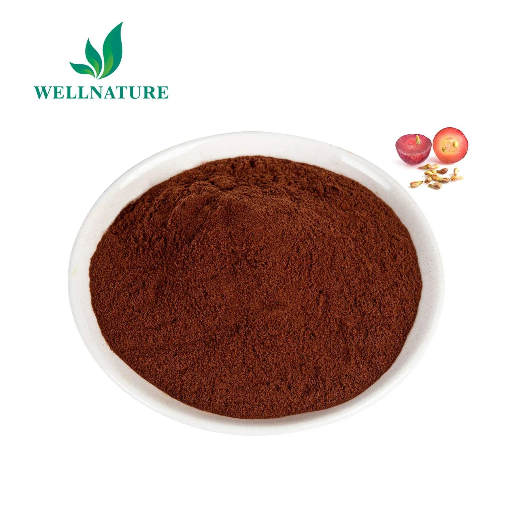 Standardized Grape Seed Extract 95% Proanthocyanidins for Premium Nutraceuticals with COA