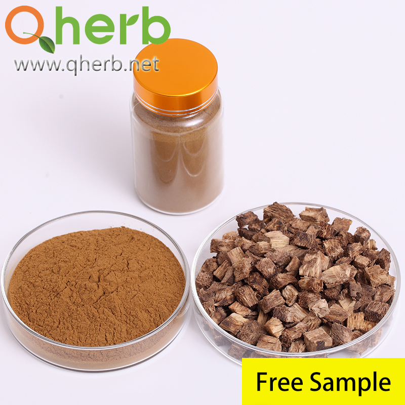 Pueraria Lobata Extract 40% Isoflavones Puerarin HPLC Plant Extract Powder