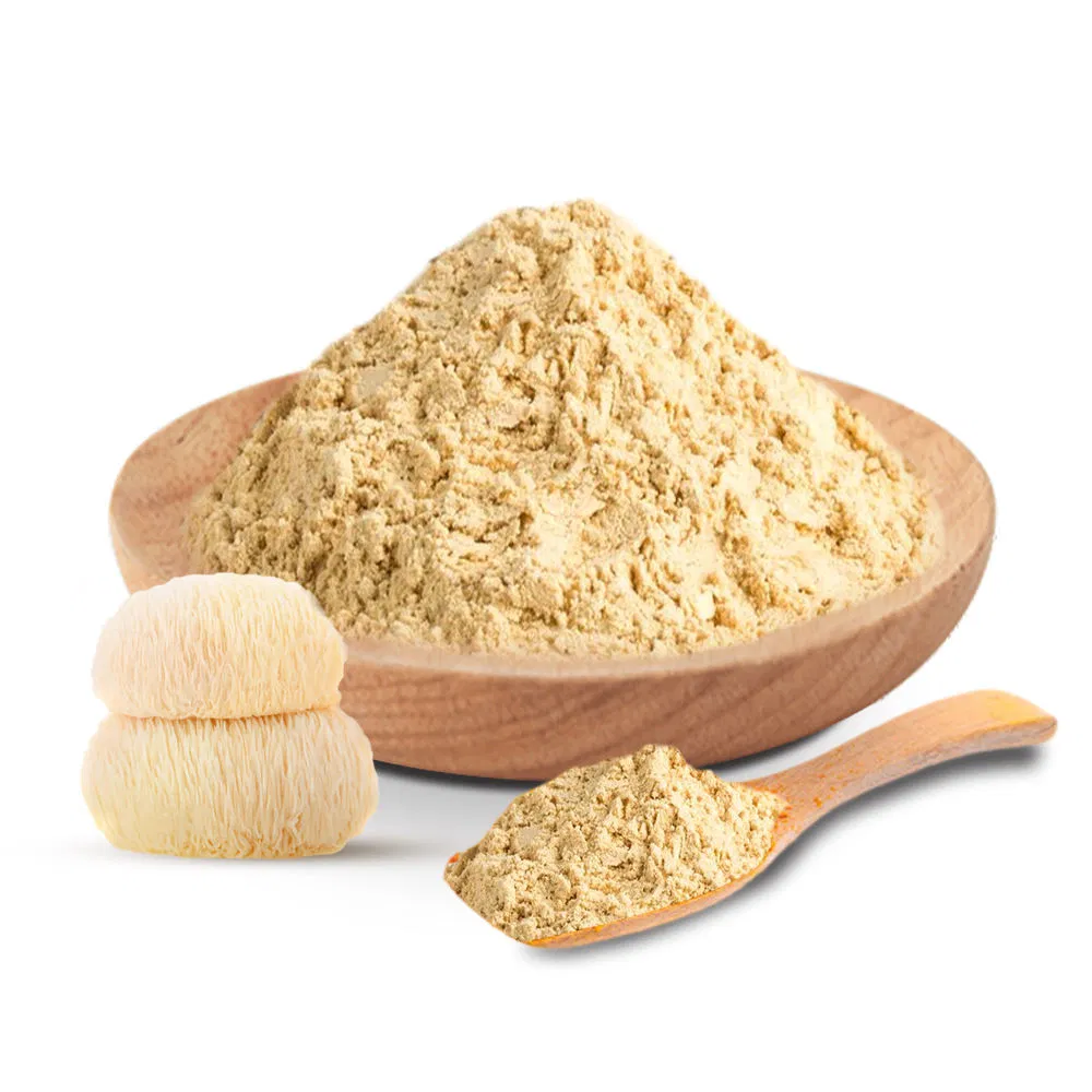 Organic Lion's Mane 100% Pure Powder Medicinal Mushroom Extract Herbal Plant