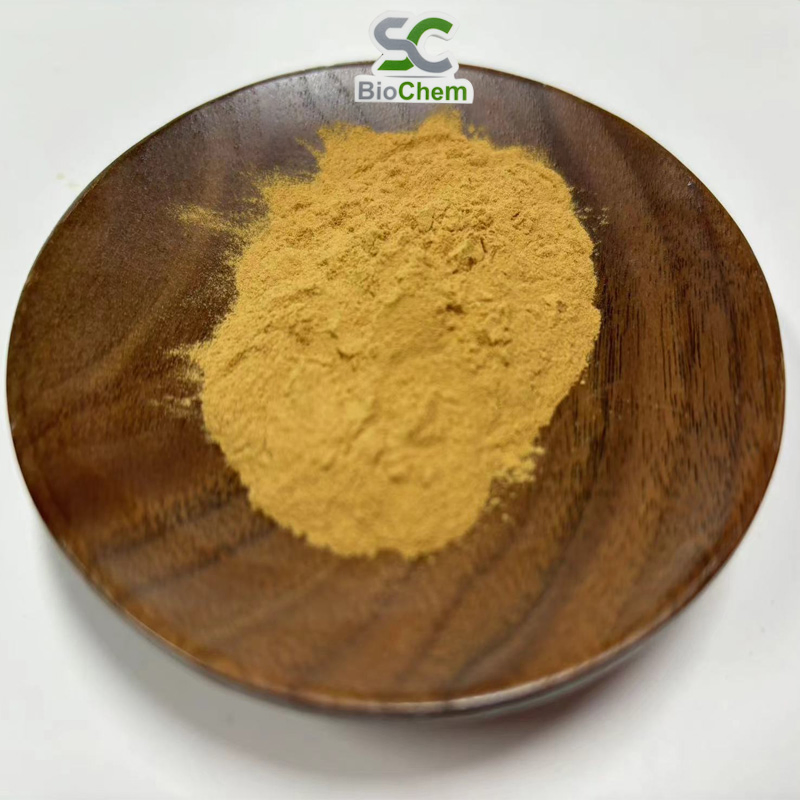 High Quality Wild Chrysanthemum Extract 0.1%-0.8% Parthenolide Feverfew Flower Extract/Wild Chrysanthemum Extract