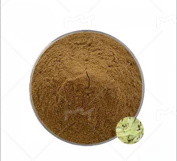 Chinese High Purity Reliable Quality Food Grade Natural Senna Leaf Extract Powder Senna Leaf PE Senna Extract