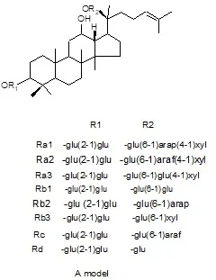 Molecular Structure 1