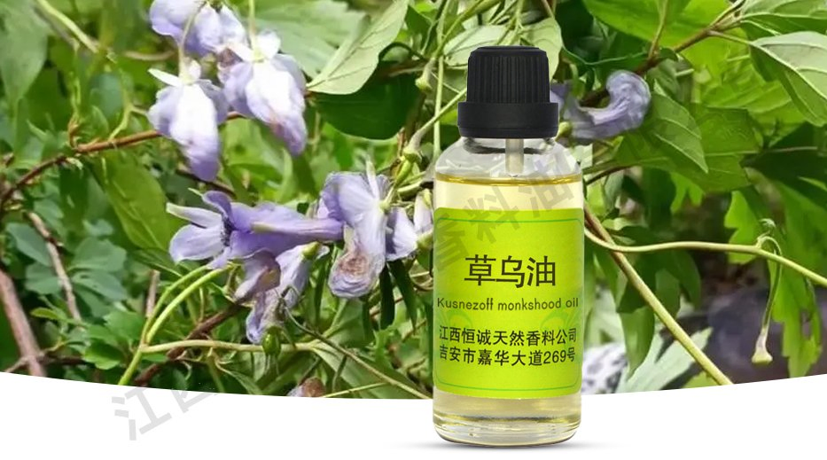 Essential Oil Manufacturers Supply Herbal Oil Extracted From Natural Plants