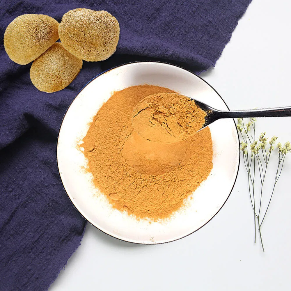 Whoesale Herballion's Mane Bulk Hericjumerinaceus Extract in Low MOQ