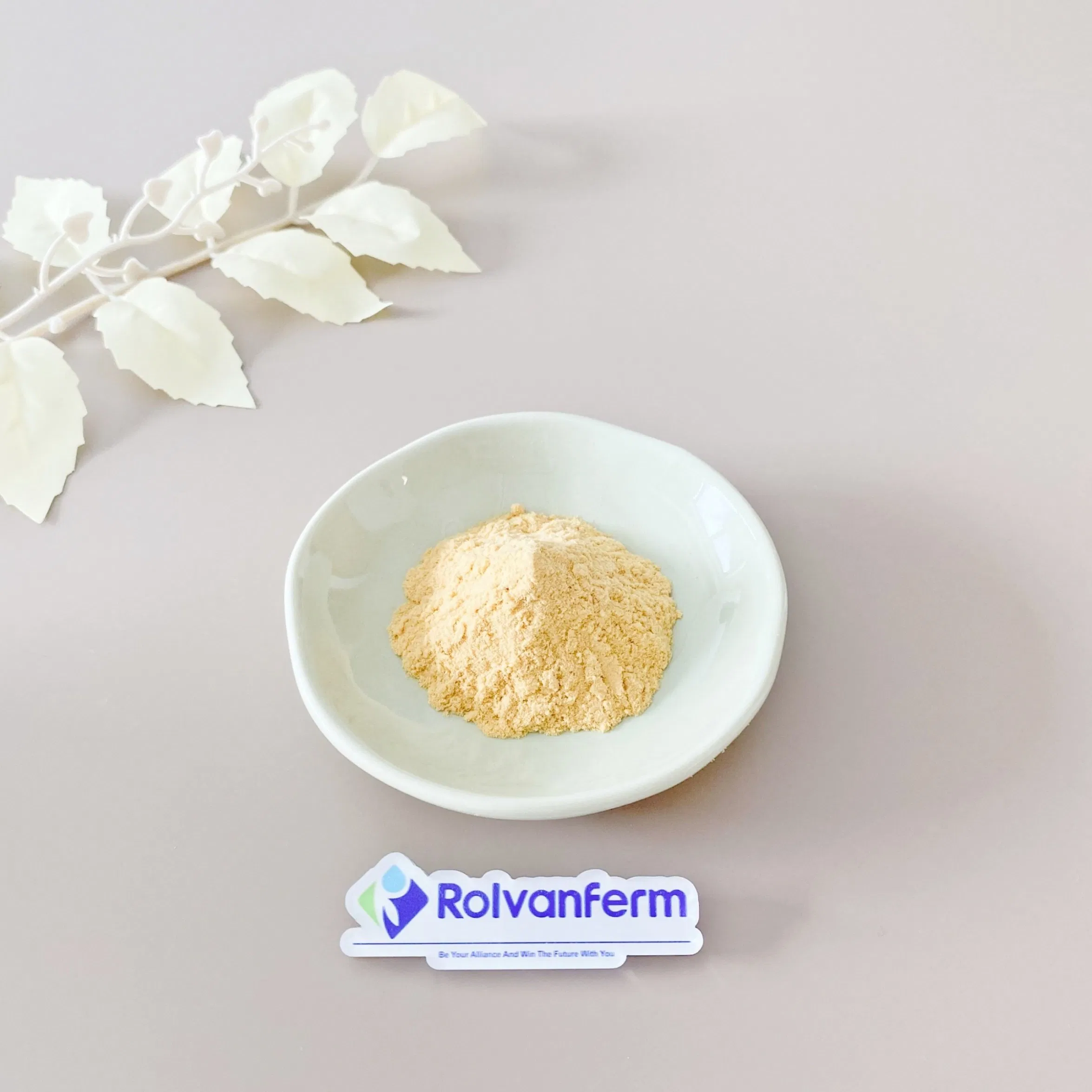 Standardized High Purity Fucoidan Extract From Undaria Pinnatifida or Fucus Vesiculosus for Consistent Bioactivity and Potency in Supplements Fucoidan
