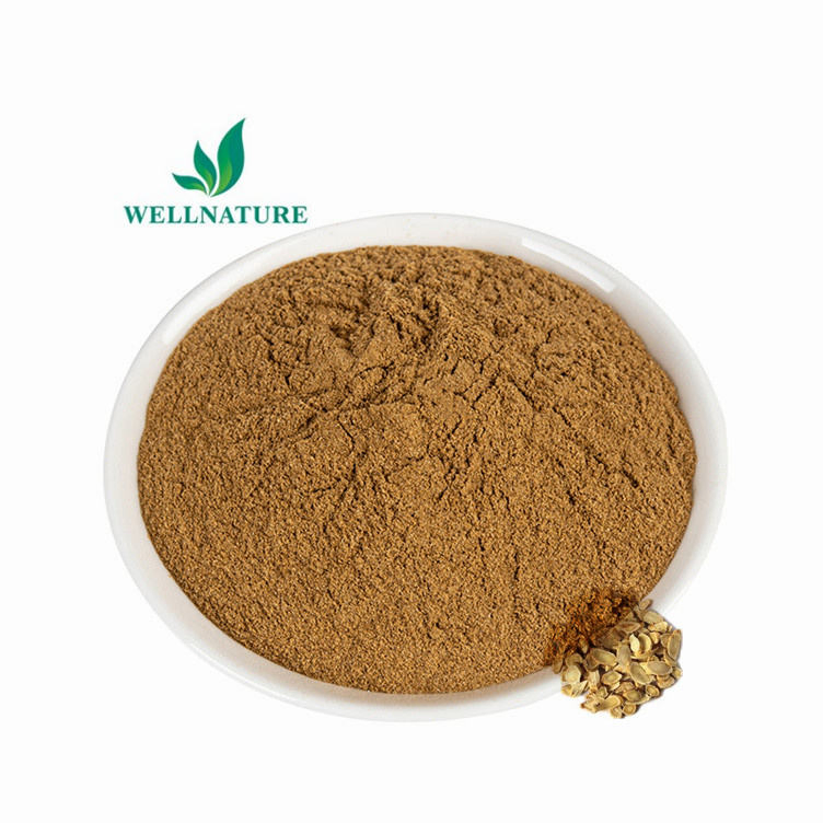 Natural Astragalus Root Membranaceus Extract Powder Astragalus Extract