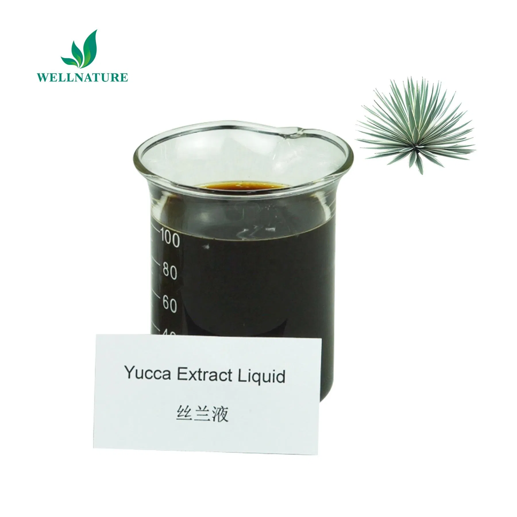 Natural Yucca Schidigera Liquid Extract for Reducing Ammonia in Animal Drinking Water and Farms