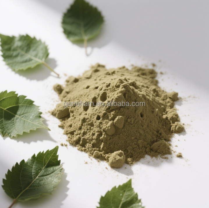 Natural Dnj Mulberry Leaf Extract 1-Deoxynojirimycin Food Grade Plant Extract