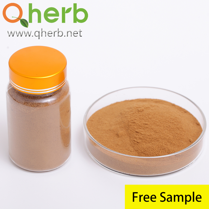 Natural Wild Extracts Spray Dried 10: 1 Chrysanthemum Morifolium Flower Extract