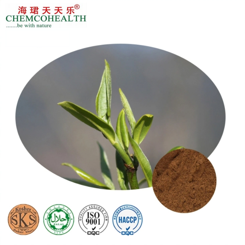 Natural Herbal Black Tea Extract with High Content of Theaflavins
