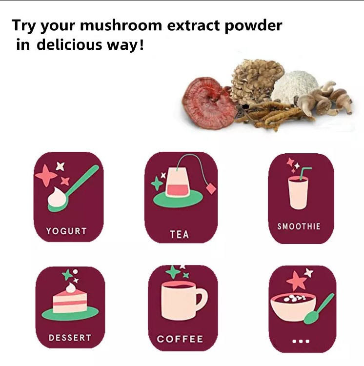 Mushroom Extract High Quality Food Grade Liquid Herbal Plant Powder Blends Medicinal Mushroom Supplement