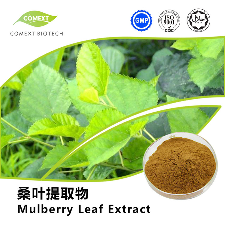 Comext China Manufacturer Free Sample 1% 2% 5% 10% HPLC 1-Deoxynojirimycin Dnj Powder Polysaccharides Morus Alba White Mulberry Leaf Extract for Blood Sugar