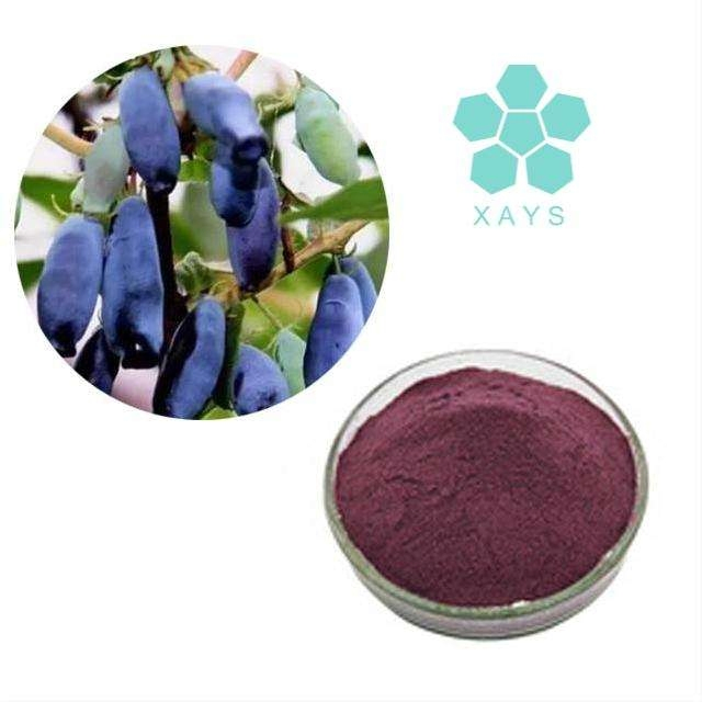 Natural Haskap Berry Fruit Powder Blue Honeysuckle Lonicera Caerulea Extract