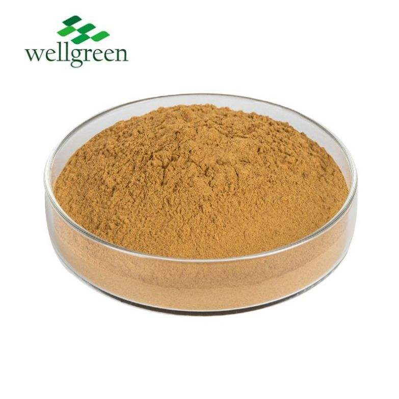 Free Sample Aqaricus Blazei Mushroom Extract Natural Agaricus Bblazei Extract