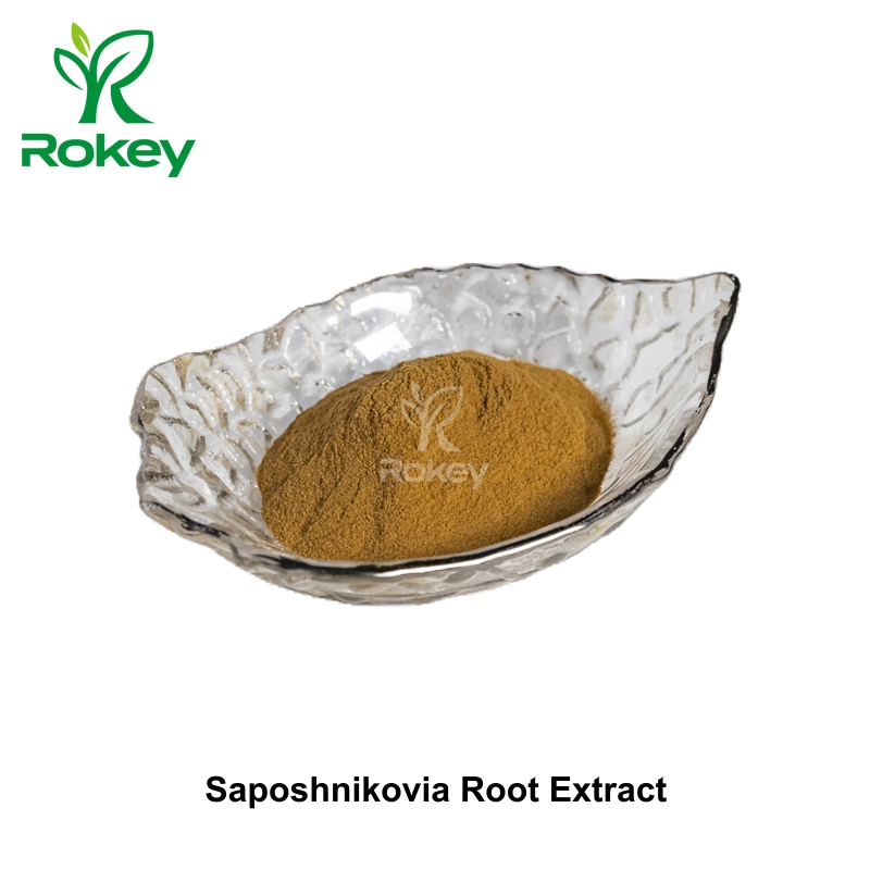 Premium Herbal Extract for Wellness Support Saposhnikovia Root Extract, Divaricate Saposhnikovia Extract