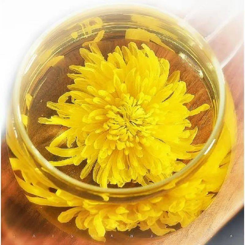Pure White Chrysanthemum Powder - 100% Natural Herbal Extract