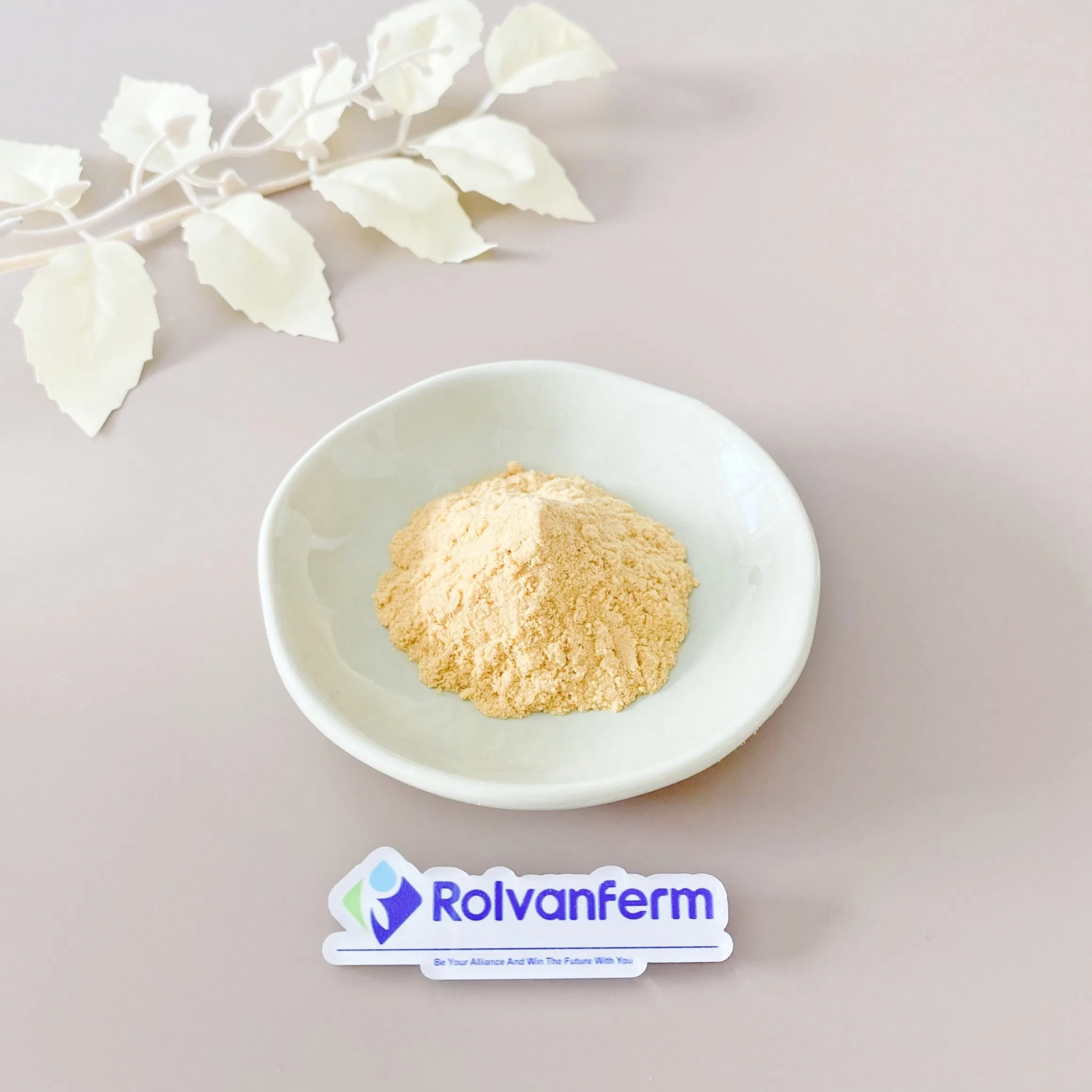 Chamomile Extract Standardized Apigenin and Flavonoids From Matricaria Chamomilla for Dietary Supplement Applications