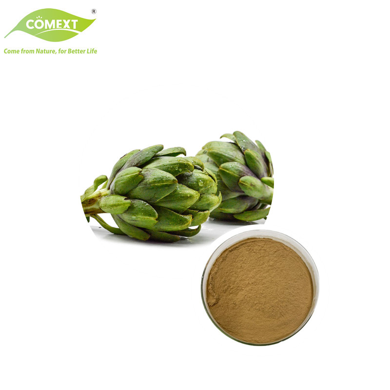 Natural Plant Extract Artichoke Leaf Extract Powder Artichoke Extract Cynara Scolymus Powder