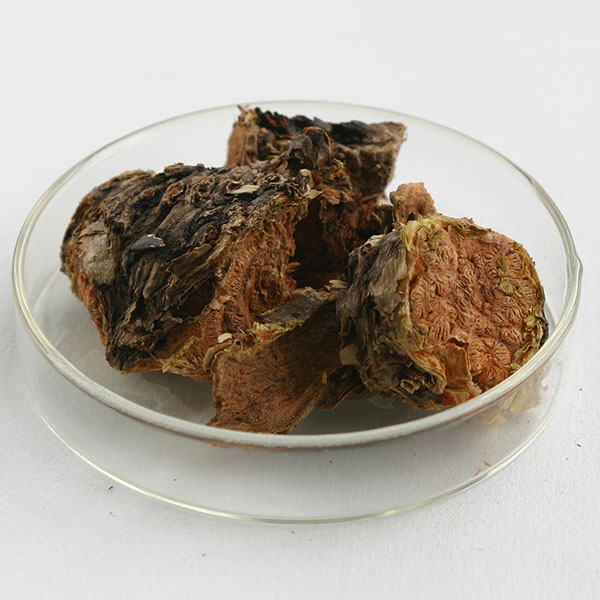 3%-5% Rosavins 1%-5% Salidroside Rhodiola Rosea Extract for Immune-Boosting