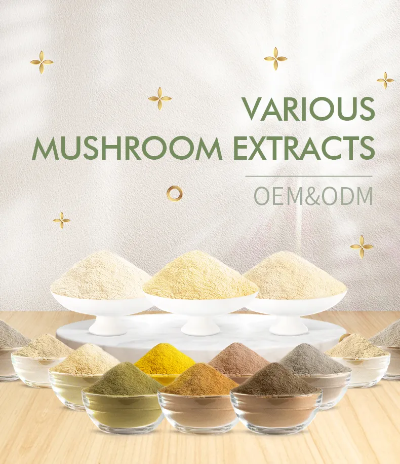 Lion's Mane Extract 1