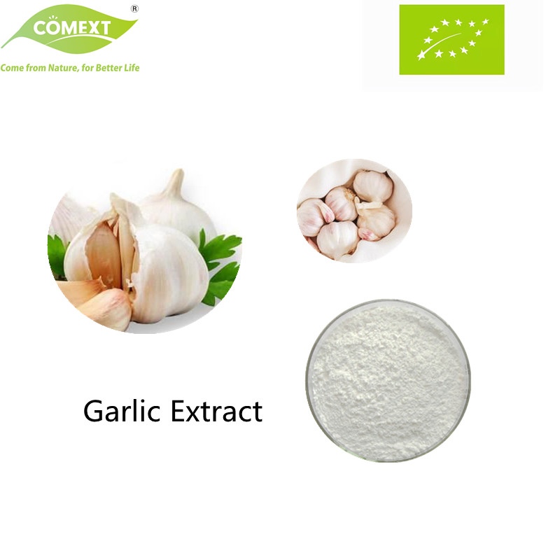 Comext Herbal Extract Factory Supply Bulk Garlic Extract Alliin 1% Pure Allicin Extract
