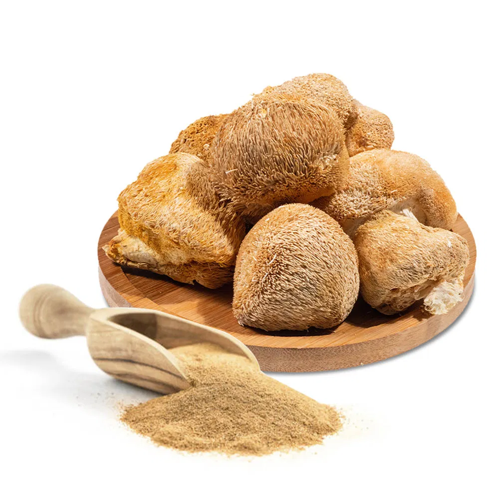 Pure Lions Mane Powder Lions Mane Extract with Rich Beta-Glucan