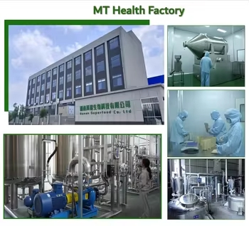 High Quality Natural Stress Support Herbal Extract Ashwagandha Extract