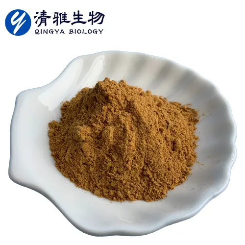 Sophoricoside Powder Appearance