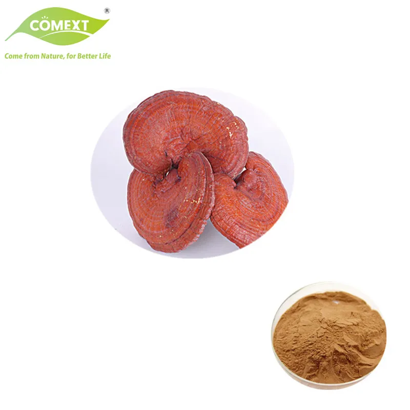 Reishi Mushroom Extract Powder