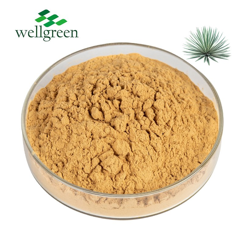 Feed Additive Bulk Price Powder Liquid Root Schidigera Yucca Extract
