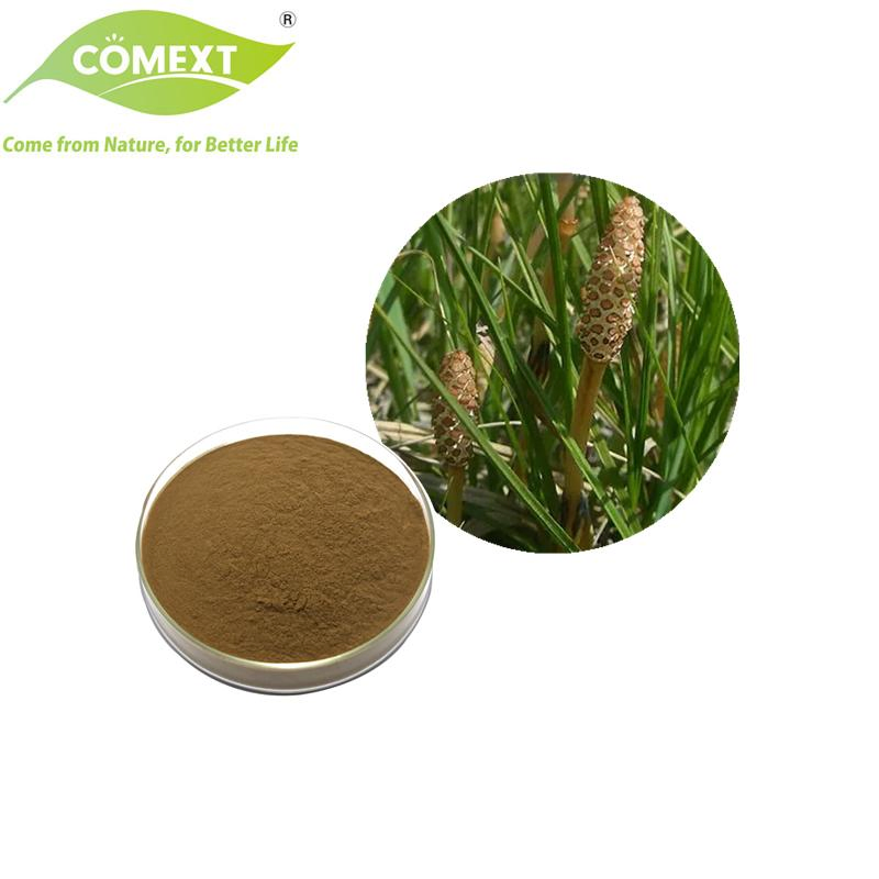 Comext Top China Factory Hot Selling Equisetum Arvense L. Herbal Horsetail Extract for Pharmaceutical