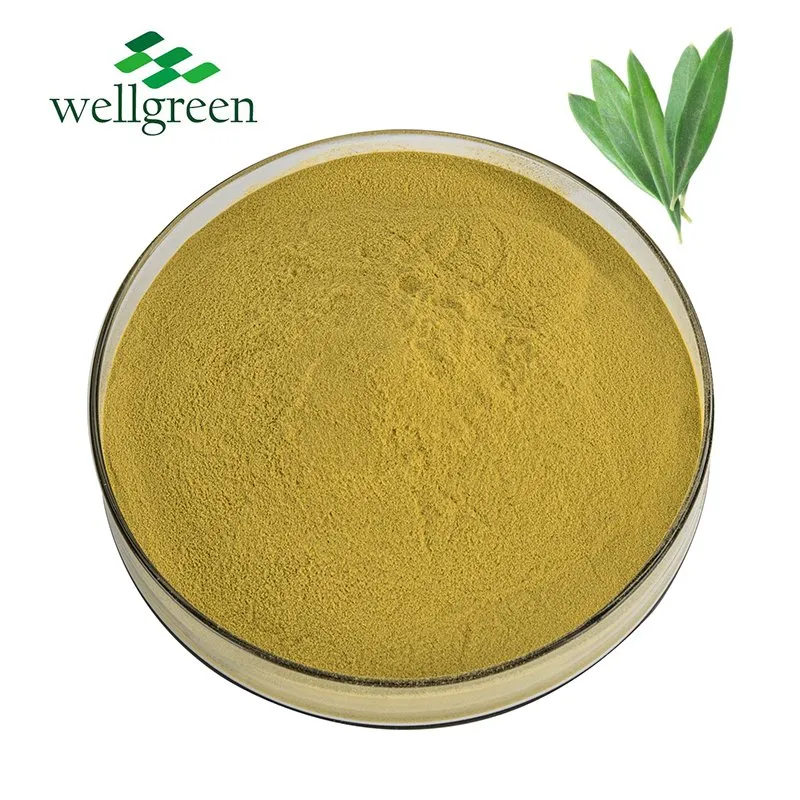 Oliver Leaf Extract Product View