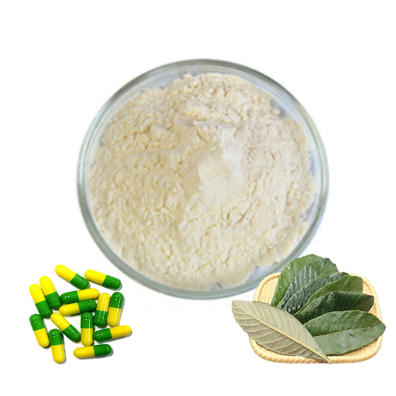 Ursolic Acid Natural Herb Loquat Extract Fruit Extract Powder