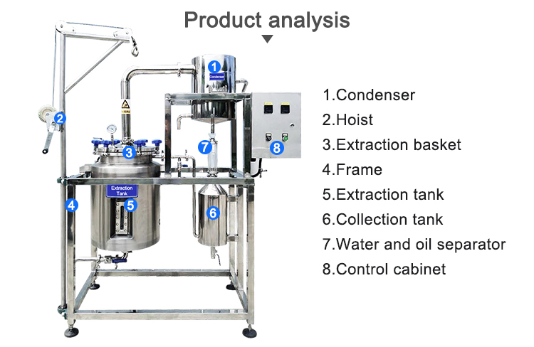Premium Lemon Balm Essential Extract From China for Global Markets