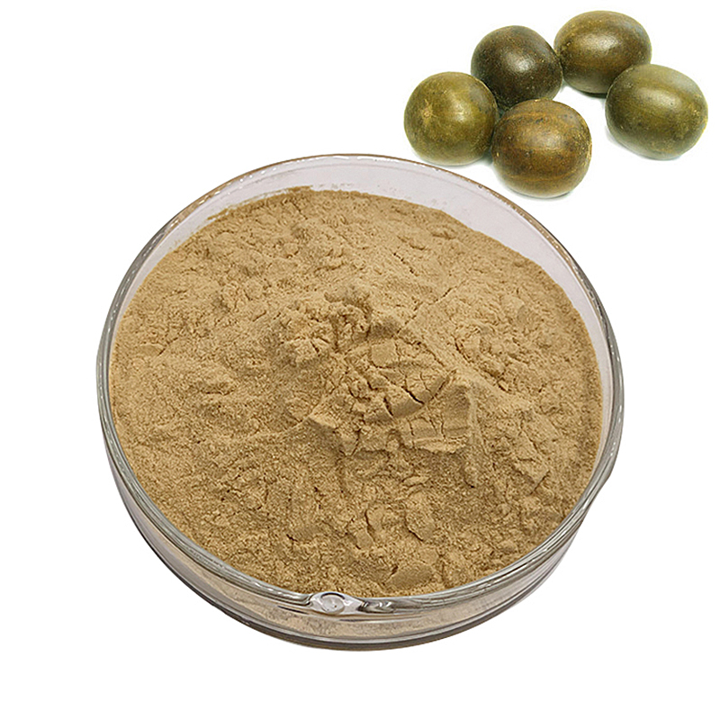 Wholesale Monk Fruit Extract Powder Luo Han Guo Extract Monk Fruit Extract