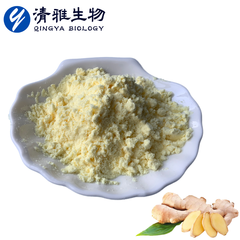 Plant Extract 100% Water Soluble Ginger Powder Ginger Extract Food Grade